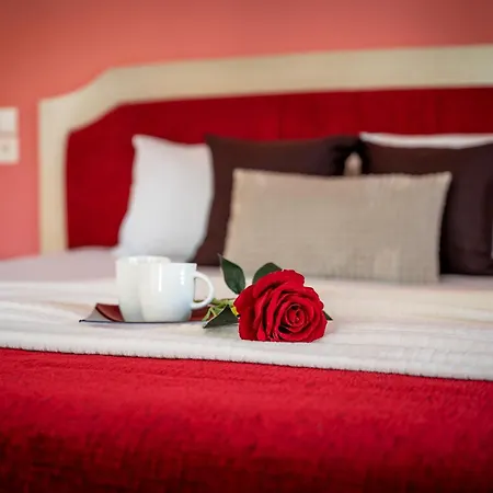 Hotel de apartamente Ionian Coco Palm Tsilivi (Zakynthos)
