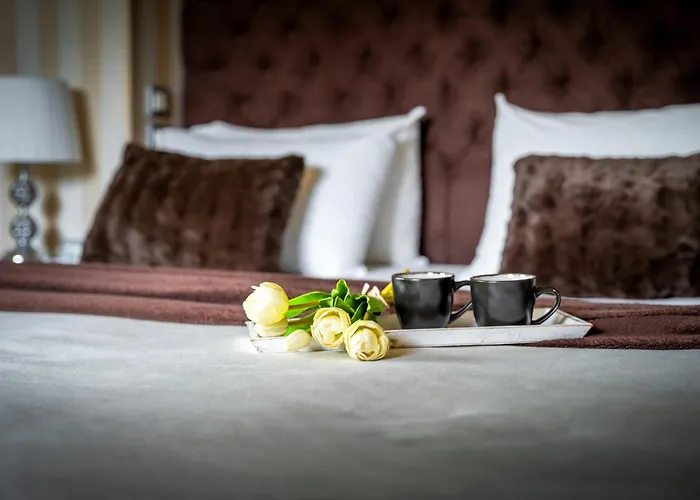 Ionian Coco Palm Tsilivi (Zakynthos)