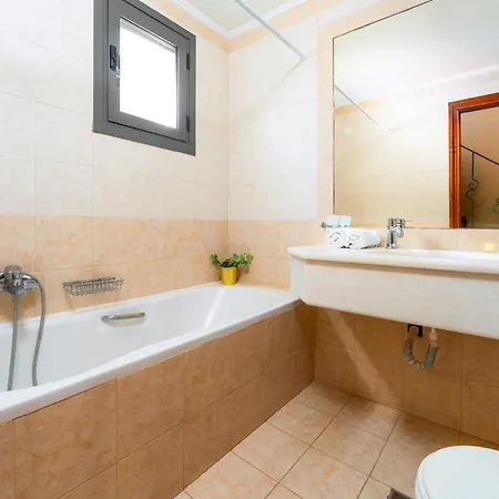 Lägenhetshotell Ionian Coco Palm Tsilivi (Zakynthos)