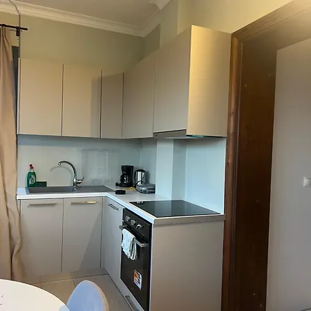 Ionian Coco Palm Tsilivi (Zakynthos)