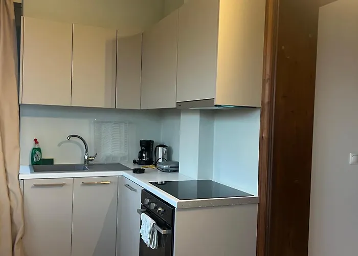 Ionian Coco Palm Tsilivi (Zakynthos)