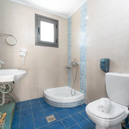 Ionian Coco Palm 蒂锡利维