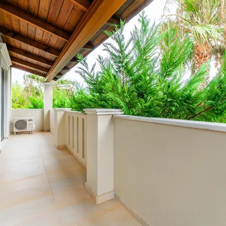 Ionian Coco Palm 蒂锡利维