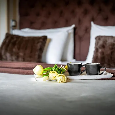 Ionian Coco Palm Tsilivi (Zakynthos)